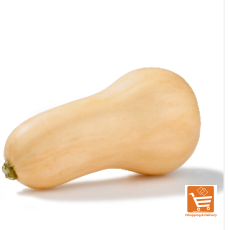 Butternut