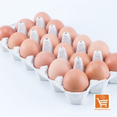 Large Eggs - 18s