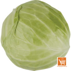 Unwrapped Cabbage
